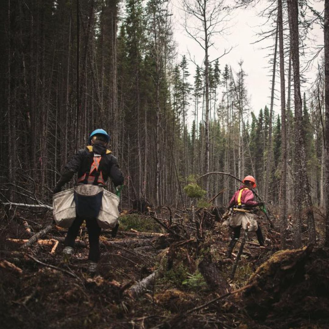 Website_2023_-_Sustainable_-_1080_x_1080_4_1920x_6cd9f3bf-550d-401b-8c64-bcb51cd9735e.jpg